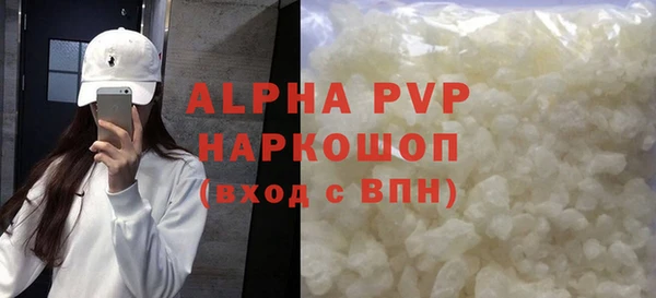 молекула духа Козельск