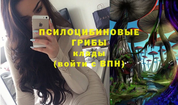 ешки Остров