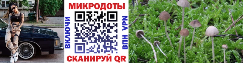 Галлюциногенные грибы Magic Shrooms  даркнет Telegram  Цивильск 