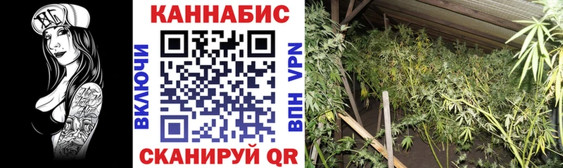 MEGA зеркало  Цивильск  Конопля тримм  продажа наркотиков 